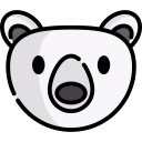animals,wild life,animal kingdom,polar bear